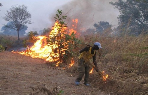  la nature du parc national de la garamba